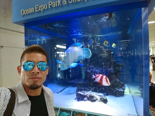 15���E���Ƃ藷�ŏI������̃o�b�N�J�����I